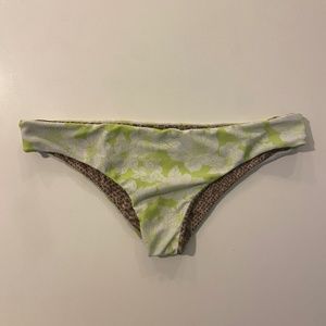 Acacia bikini